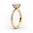 The Jennifer Set With A 3 Carat Pear Lab Diamond Discount