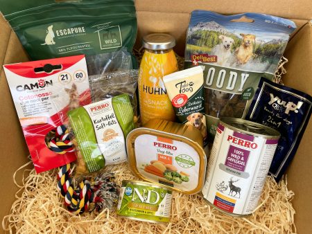 Willkommen Box für Hunde Online now